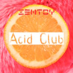 ZenToy - Acid Club